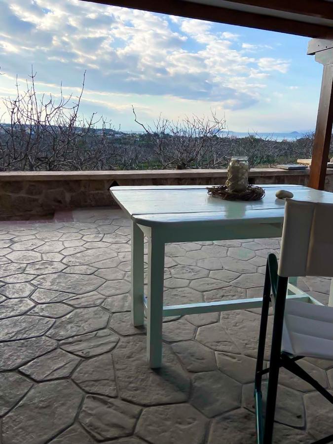 Pistachio Guesthouse, Παραδοσιακός Ξενώνας Vathí Exteriör bild