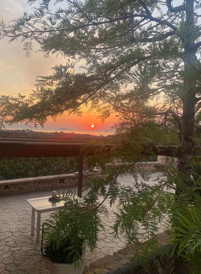 Pistachio Guesthouse, Παραδοσιακός Ξενώνας Vathí Exteriör bild