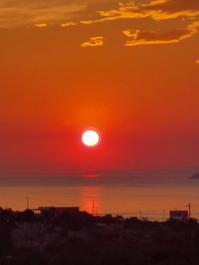 Pistachio Guesthouse, Παραδοσιακός Ξενώνας Vathí Exteriör bild
